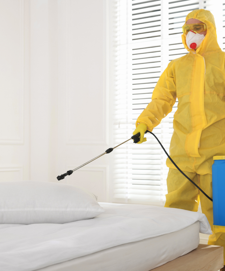 Professional Pest Control Team in Gawler